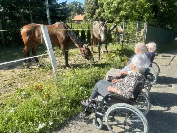 výlet ke koním (13)