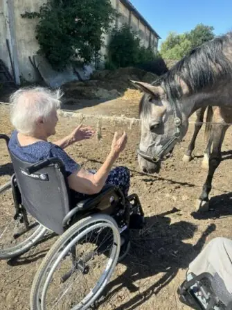 výlet ke koním (14)