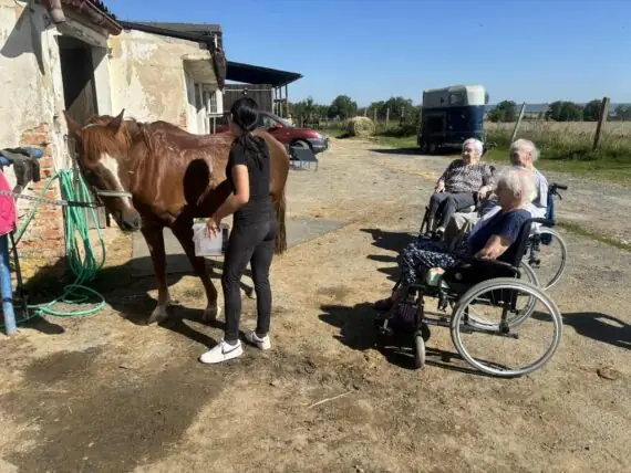 výlet ke koním (16)