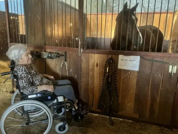 výlet ke koním (5)