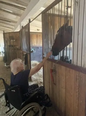 výlet ke koním (9)