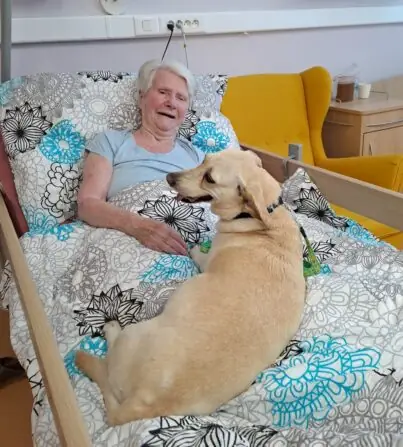 06d79fbe-9ecb-4b91-a389-03d204cff17b