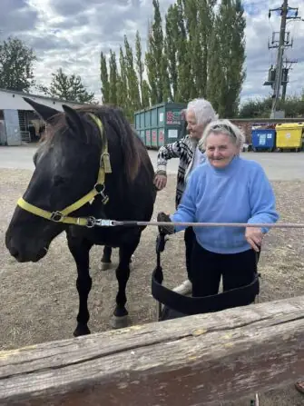 2a5e1118-aab5-43bb-99bd-594ea34916e2