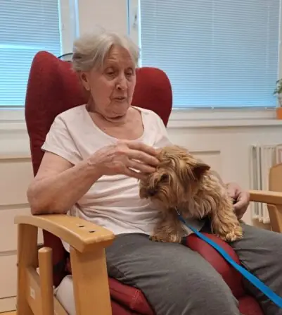 3de8a6eb-16e0-4328-96a9-03e0889e29f5