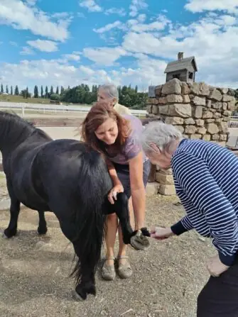 4ccec6a6-f5c1-4a2b-a8fb-57bc2aa55034