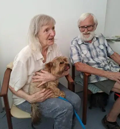 6a1ce547-b0f6-4a2c-a68a-bac9b862e649