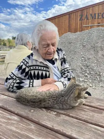 712dcf68-09b0-4200-b731-e6fa91367cf7