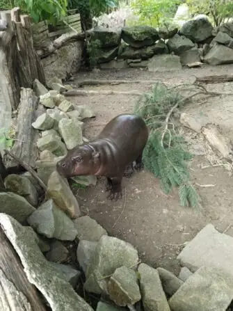 720bc230-cee6-4c44-9331-347548492d34