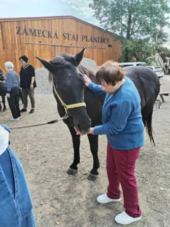 768a0742-c29a-4512-8c3b-9f292bcb206d