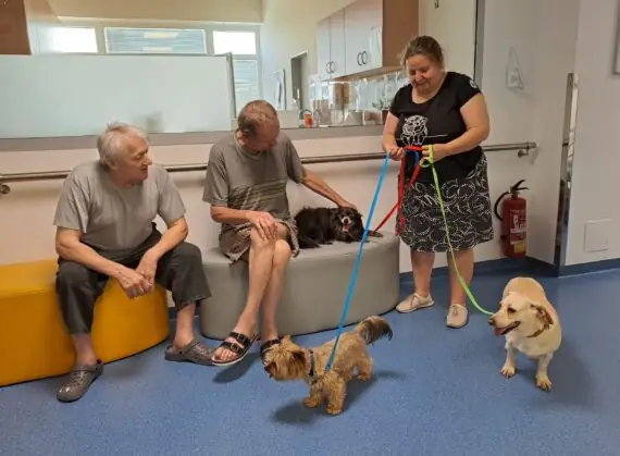 78fb7bd3-f5ac-48d6-afa5-d956bb5c251d