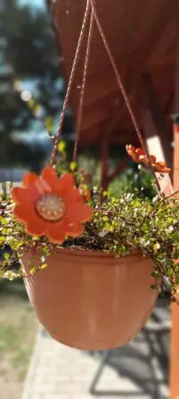 Obrázek WhatsApp, 2025-08-25 v 11.46.46_156ad5dc