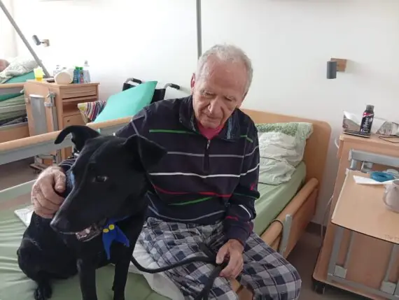 Obrázek WhatsApp, 2025-09-16 v 15.19.51_de6d464d