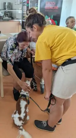 PXL_20250811_080308308