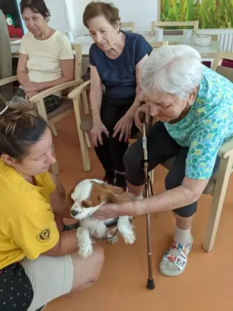 PXL_20250811_081214219