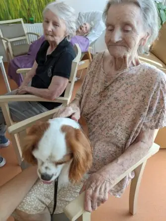 PXL_20250811_081554223