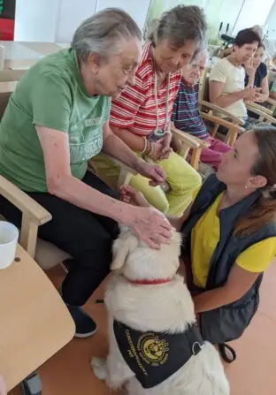 PXL_20250811_084127919