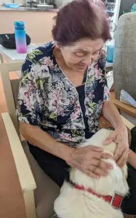 PXL_20250811_084501861