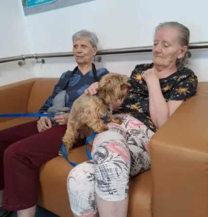 a81ffa02-dd30-4216-abfb-ccf2e3bf0d7a