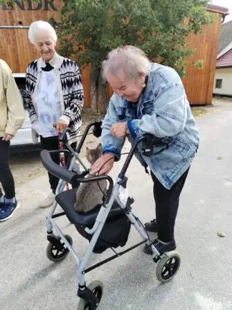 ad67bf66-f6b0-431e-b2d3-fa86f80e4d6c