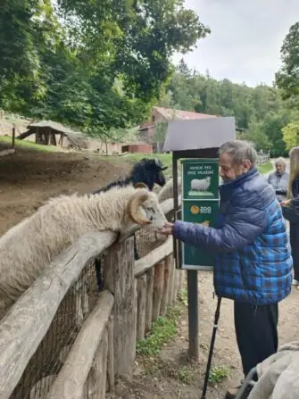 ed582a4d-6c47-4ad7-8394-a4ad90284f75