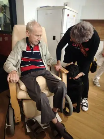 original-61F656F2-DDC0-4944-A3A0-F07207733A6D