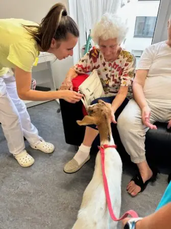 thumbnail_image0 (1)