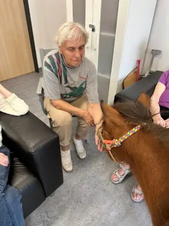 thumbnail_image1 (2)