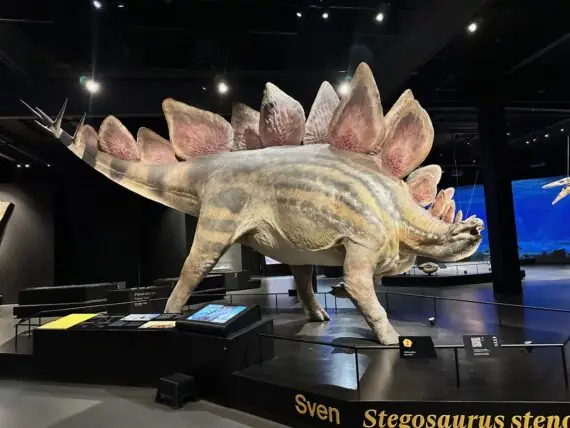 thumbnail_image10 (1)