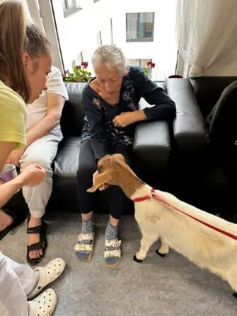 thumbnail_image2 (1)