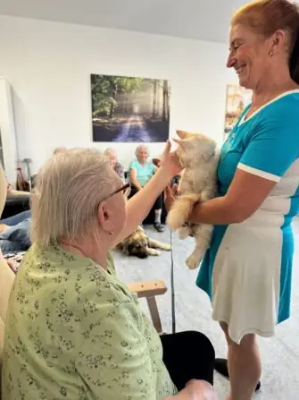 thumbnail_image2 (2)