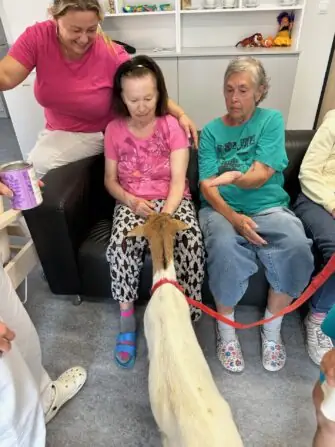 thumbnail_image6 (2)