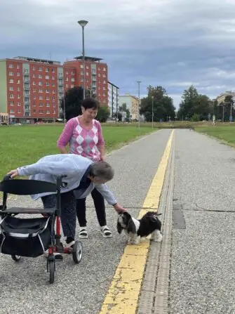 04219bdb-5297-4141-8552-404c2ecb3f45