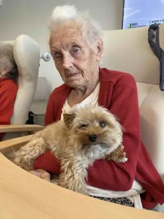 07463cf8-8c8c-448f-9c62-fe5dd5258cfa