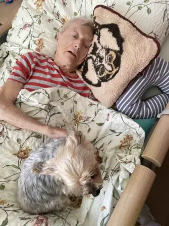 0ae4fa0a-05cf-451e-af46-bab6ca0faef3