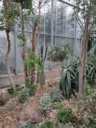 0b117616-0e36-44ea-9b5b-83a58c5a2485