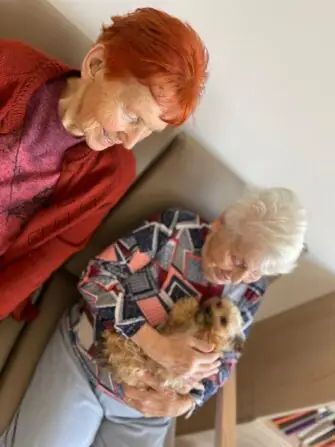 0e79904f-568e-4ab2-a47d-6d57040f7ef6