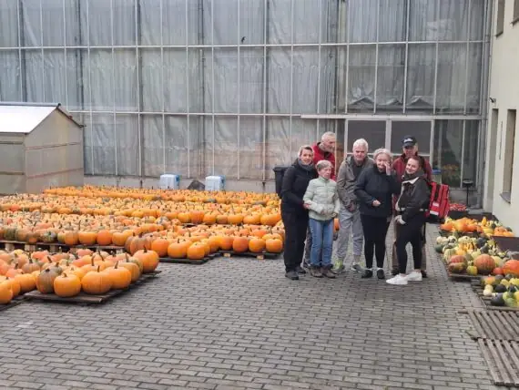 1c7ec25c-3b79-4238-97c9-c25ee0052046