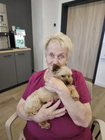 1c8c0a4a-0cbc-486b-8c09-f5456ebafd1c