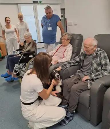 2b68ba83-63a8-4bfe-a348-e48faf57ab7f