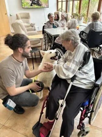 3619c080-8871-4cd1-8d26-e1b9561f45de