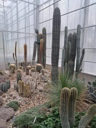 3c2f1abb-ed6f-4f05-a968-86ffc717160c