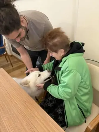 46ce8f58-6c87-48b7-868c-d99084d8e355