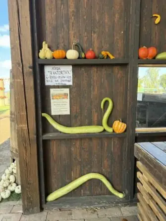 4bdfbaf7-2c0d-4c4c-a36d-5cf4fc861b3b