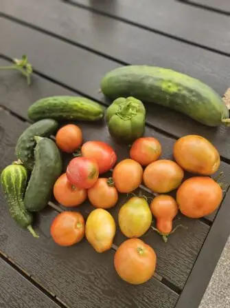 4d71917f-c202-44ac-9ebc-8c6b37dfde33