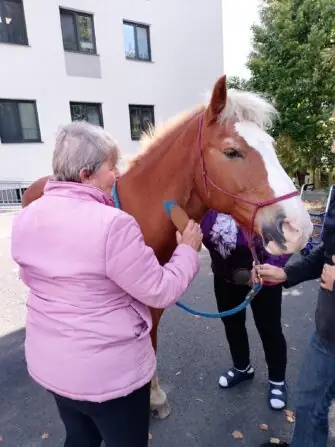 548187747_1220032603497105_8744789547899972036_n