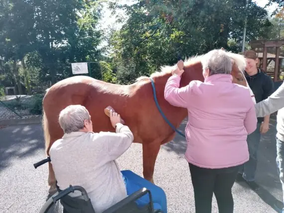 549819153_1220033070163725_8044773536515651932_n