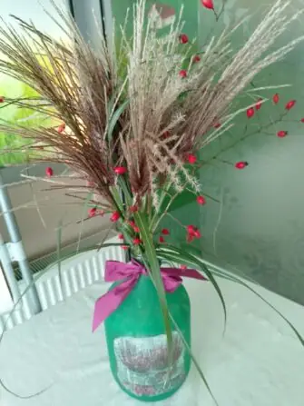 553250910_1226096176224081_3846389571196571744_n