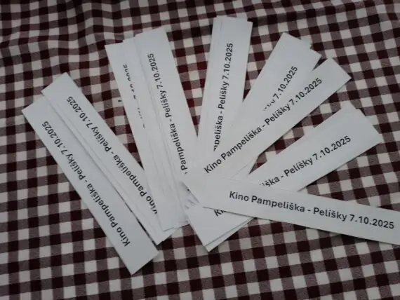 558758983_1238406458326386_9191186136127148472_n