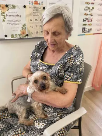 5ca6d511-57c0-48e4-88f5-8a920f891da7