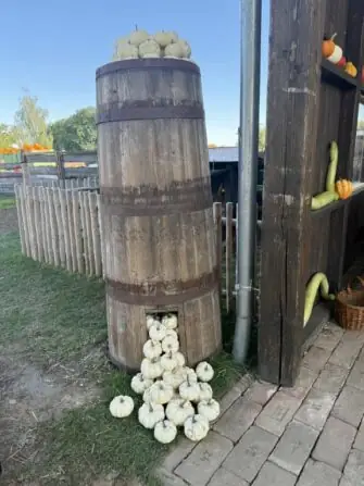 5e73e782-3793-464a-89ab-8b96f1d95f00